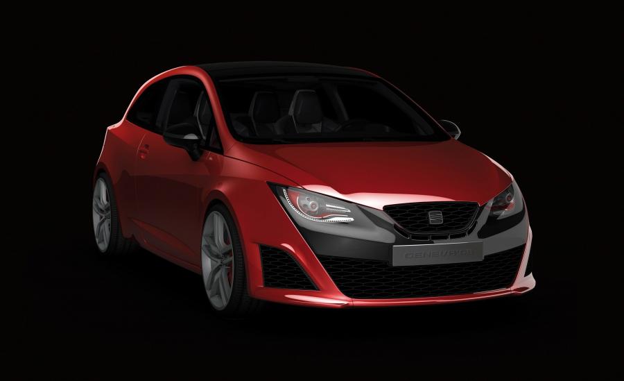 Seat Bocanegra 2008 года  (фото 8 из 15)